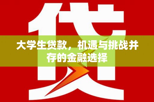 赤坎大学生贷款，机遇与挑战并存的金融选择