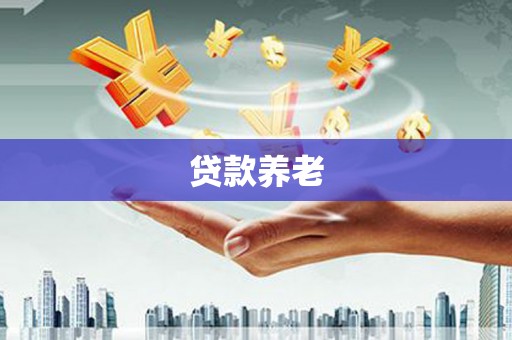 赤坎贷款养老