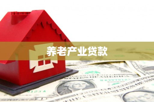 赤坎养老产业贷款