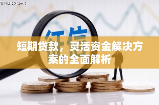 赤坎短期贷款，灵活资金解决方案的全面解析