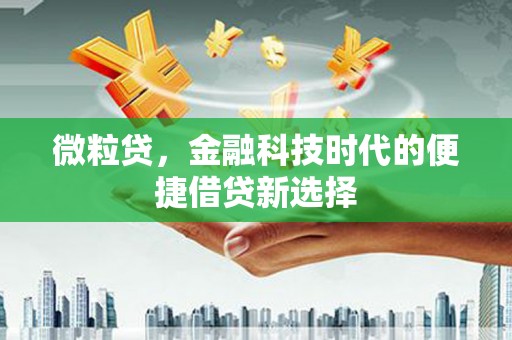 赤坎微粒贷，金融科技时代的便捷借贷新选择