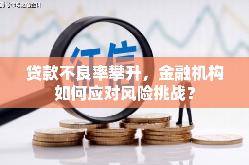 赤坎贷款不良率攀升，金融机构如何应对风险挑战？