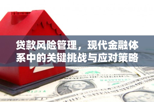 赤坎贷款风险管理，现代金融体系中的关键挑战与应对策略