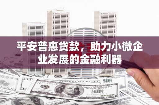 赤坎平安普惠贷款，助力小微企业发展的金融利器