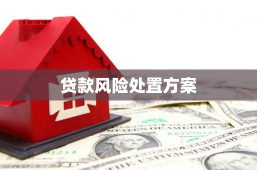 赤坎贷款风险处置方案