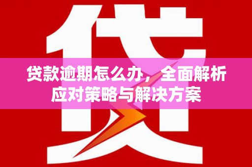 赤坎贷款逾期怎么办，全面解析应对策略与解决方案