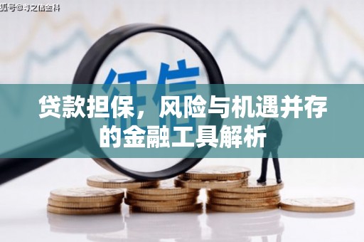 赤坎贷款担保，风险与机遇并存的金融工具解析
