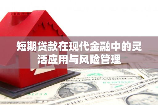 赤坎短期贷款在现代金融中的灵活应用与风险管理