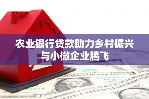 赤坎农业银行贷款助力乡村振兴与小微企业腾飞