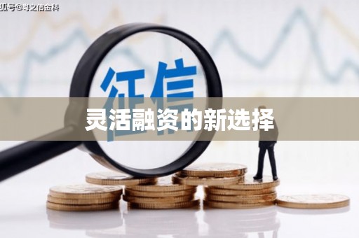 赤坎灵活融资的新选择