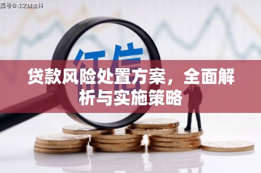 赤坎贷款风险处置方案，全面解析与实施策略
